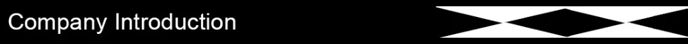 Company Introduction