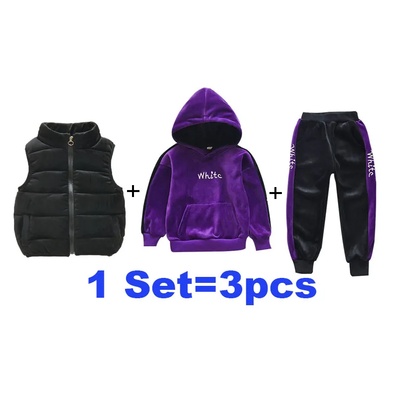 purple 3 pieces Детские теплые костюмы; Повседневная Верхняя одежда с длинными рукавами; комплект из 2 предметов; сезон осень-зима; детский утепленный бархатный свитер с капюшоном - Цвет: purple 3 pieces