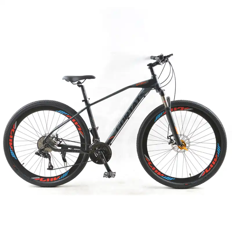 Velo de route 29 pouces Outlet