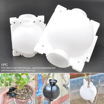 

Plant Rooting Ball Cutting Garden Grafting Practical Indoor Outdoor Portable Hydroponics Breeding Box High Pressure Growing