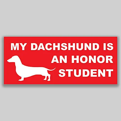 Для My Dachshund это честь студента виниловая наклейка стикер для окна автомобиля бампер 2-Pack качество УФ защитная