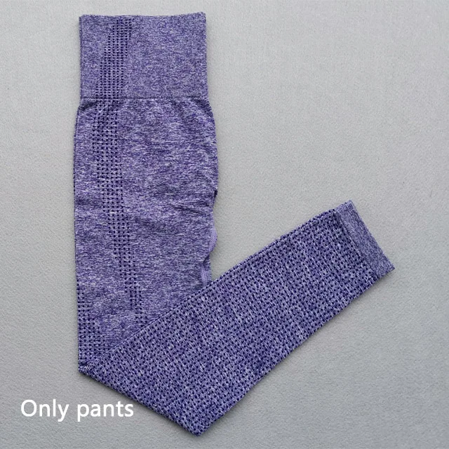 Purple Pants Бесшовный Женский комплект из 2 предметов для йоги, одежда для спортзала, леггинсы для фитнеса+ укороченные рубашки, спортивный костюм, женский спортивный костюм с длинным рукавом, одежда для активного отдыха - Цвет: Purple Pants