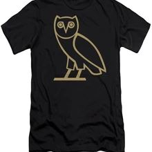 Мужская футболка Дрейк-Сова Мужская футболка с принтом Футболки