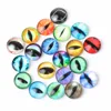 20Pcs Glass Doll Eye Making DIY Crafts For Toy Dinosaur Animal Eyes Accessories ► Photo 3/6