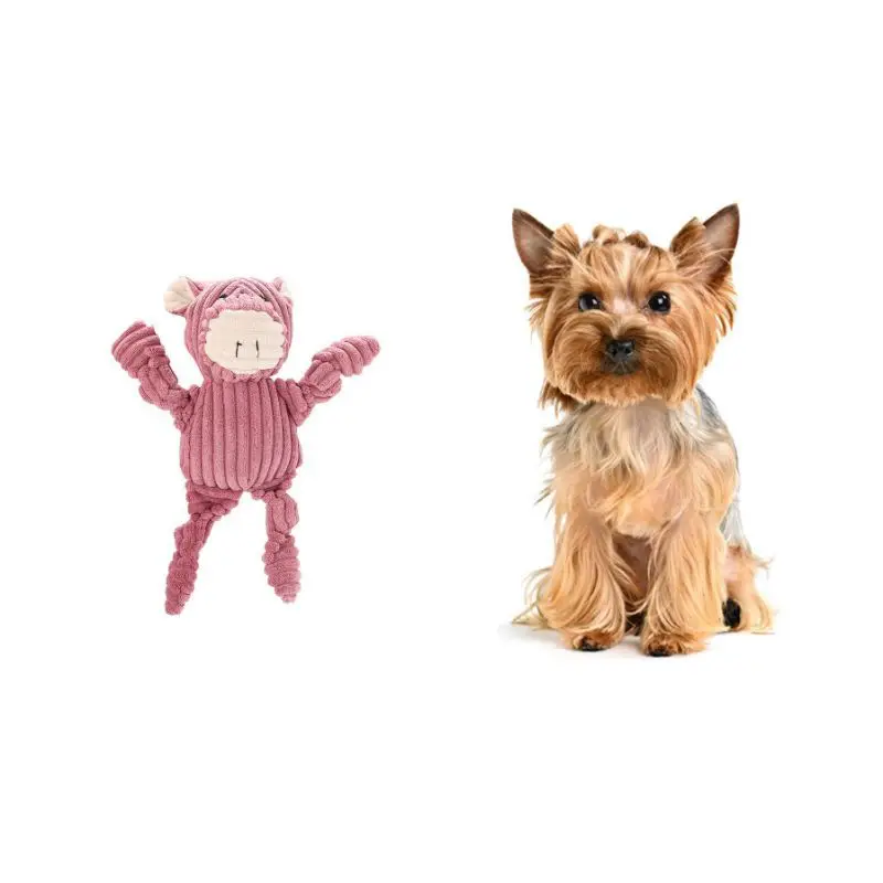 Собака укусы устойчивые скрипучие игрушки жевательные игрушки маленькие большие домашние животные куклы игрушки интерактивный писк щенок поставки зубы игрушка для собак, очищающая зубы