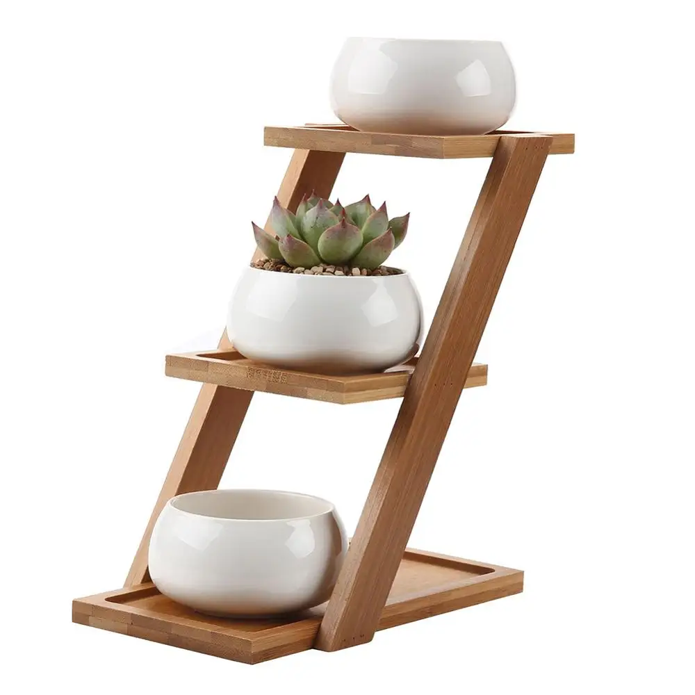 

High Quality Succulent ceramic potted plants for home and horticulture 40P