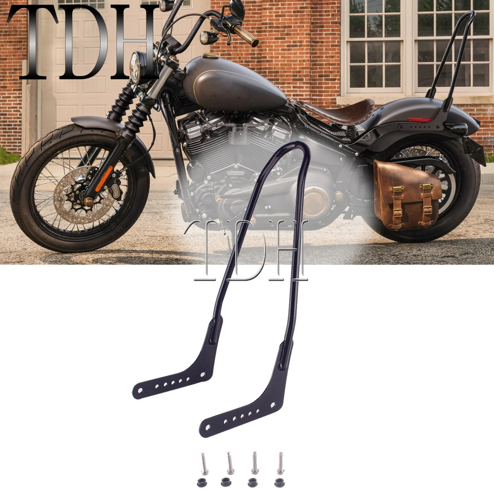 Sissy Bar Street Bob 2020 sites.unimi.it