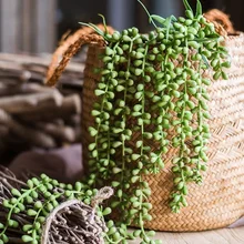 Зеленые искусственные суккуленты, планшетофон для спальни, балкона, настольного стола, мини бонсай, украшение для свадебной вечеринки, искусственные растения Зеленые искусственные суккуленты, планшетофон для спальни, балкона, настольного стола, мини бонсай, украшение для свадебной вечеринки, искусственные растения