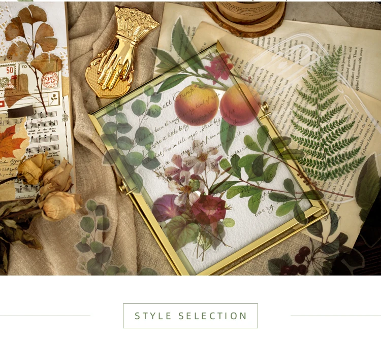 植物研究所贴纸包_03