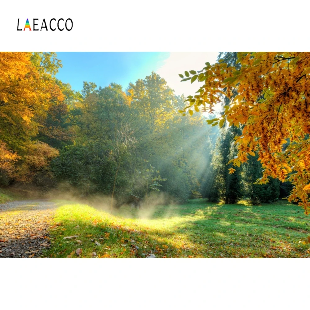 Laeacco осенний фон для фотосъемки с изображением солнечного леса деревьев луга |