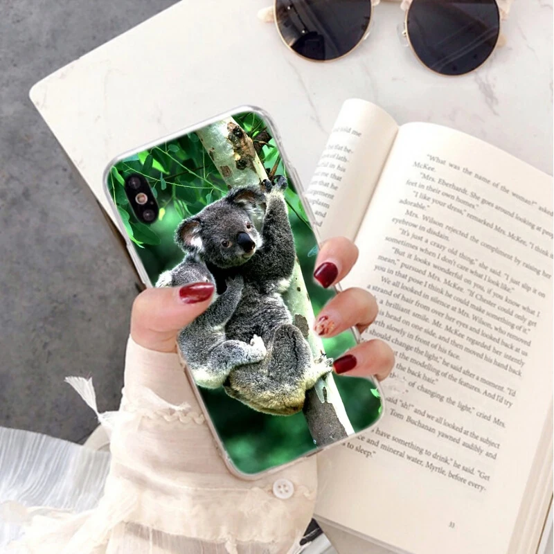 Animal sleeping lazy koala