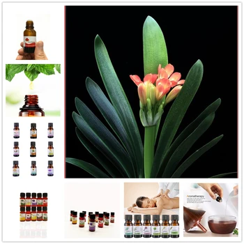 

10ML Lavender Essential Oil Clivia Aromatherapy 100% Pure Basic Essential Oil for Relieve Mind Stress Organic Body Massage Relax