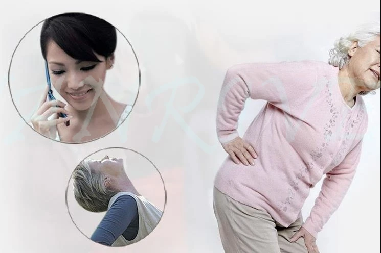 36020181105185702537