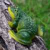 1 Collectible Frog Figurine Resin Crafts for Home Garden Doll House DIY Accs ► Photo 3/6