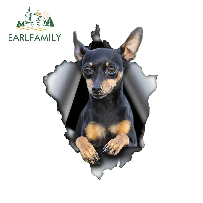 EARLFAMILY 13 см x 9 7 Pinscher стикер на машину с собакой рваные металлические водостойкие 3D