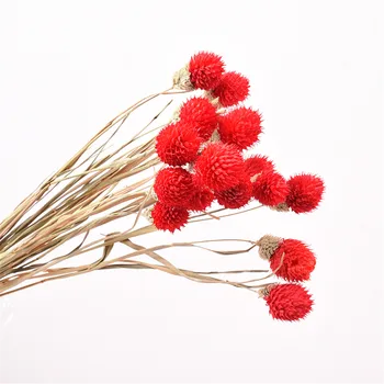 

Natural Dried Flower Gomphrena Globosa Bouquets Home Decor Wedding Party Decoration Wild Strawberry Flower Bouquets