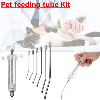 

Crop Feeding Kit 6Pc curved gavage tubes and 1Pc Syringe 20ml Bird Feeding Syringe Epidemic Prevention