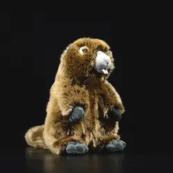 Реалистичные Marmot Prairie собака имитация grounhog плюшевые игрушки мягкие куклы животное детский подарок