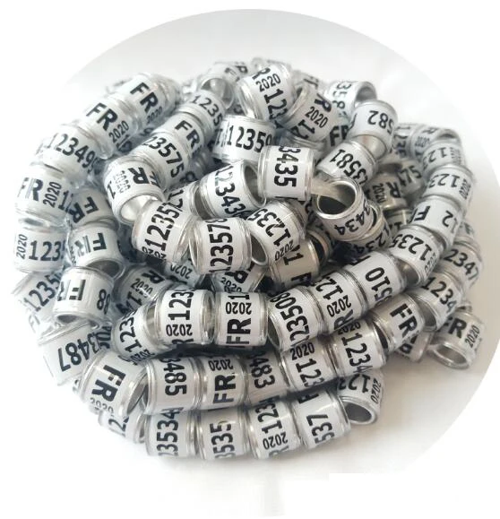 QQ图片20191031165703