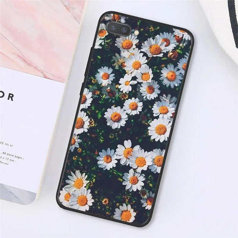 Beauty Yellow Sunflower