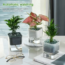 

Self-Watering Creative Transparent Visual Plant Pot Automatic Water Absorption Hydroponic Pot Ideal for All Plants