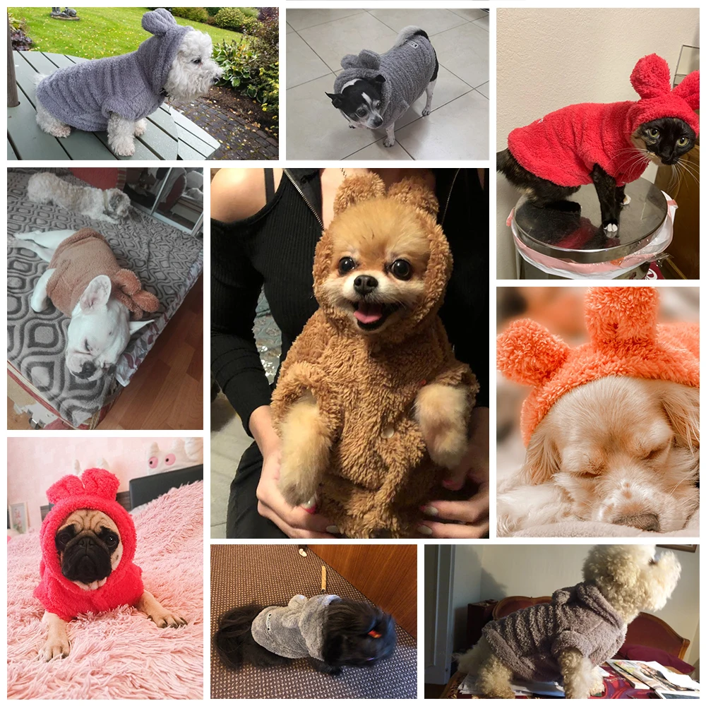 Winter Dog Cat Coat Jacket (1)