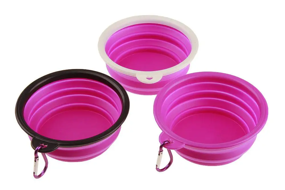 Purple dog bowl (1)