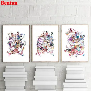 

5d Diy diamond painting Anatomical Organ Human Anatomy square round diamond embroidery rhinestone painting diamond mosaic 3 pcs