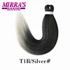 T1B/Silver Gray