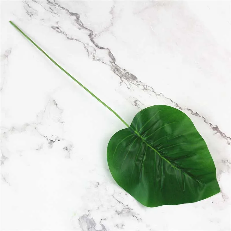 9577295447_2032011975