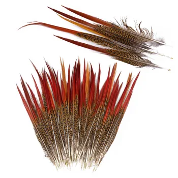 

100Pcs/Lot 5-30cm Plume Natural Red Pheasant Tail Feathers Carnival Wedding Decoratiove Party Feather For Crafts Home DIY Plumes