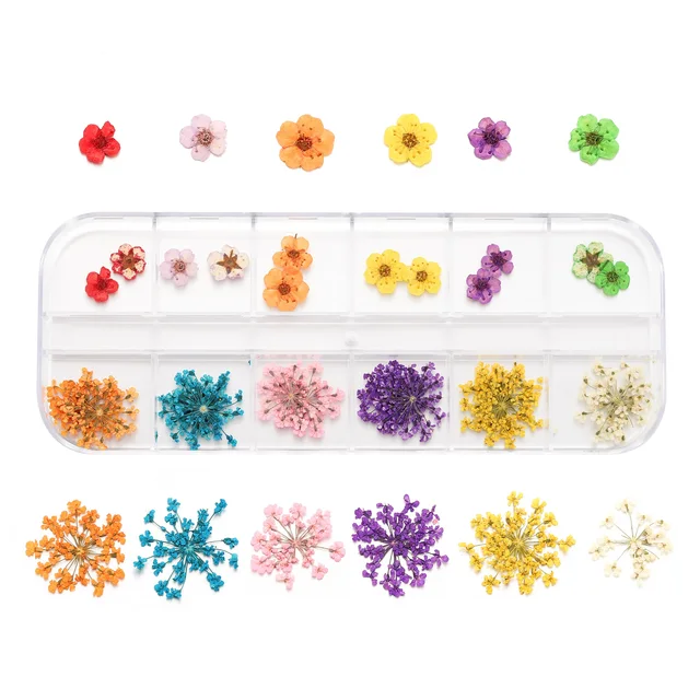 1Box Dried Flowers Dry Plants for Rsein Molds Fillings Epoxy Resin Pendant Tweezers Jewelry Making Craft DIY Nail Art Decoration Style29
