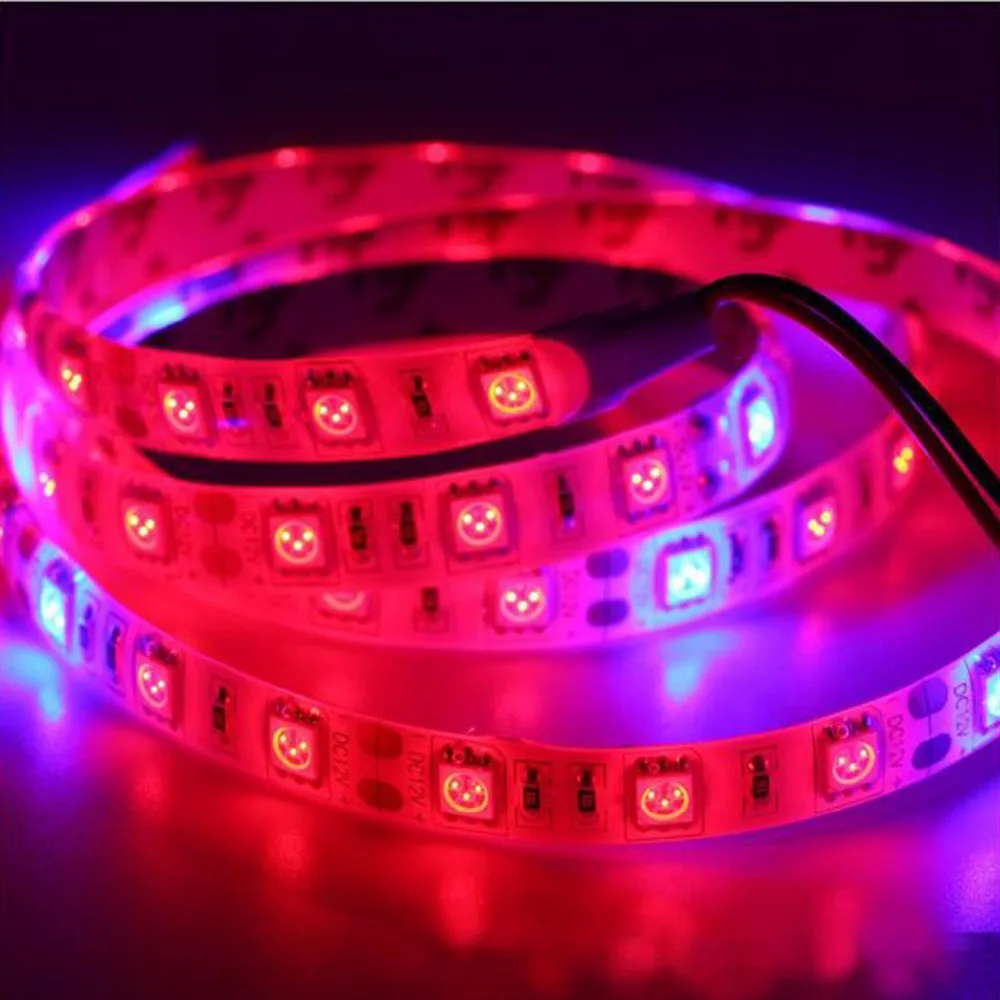 QQ截图20200405213838