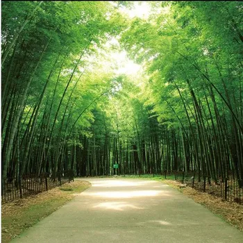 

Dropship Custom Size Photo Large-scale Wall Painting Sofa TV Background Wall 3D Stereo Green Bamboo Forest Road Wallpaper Mural