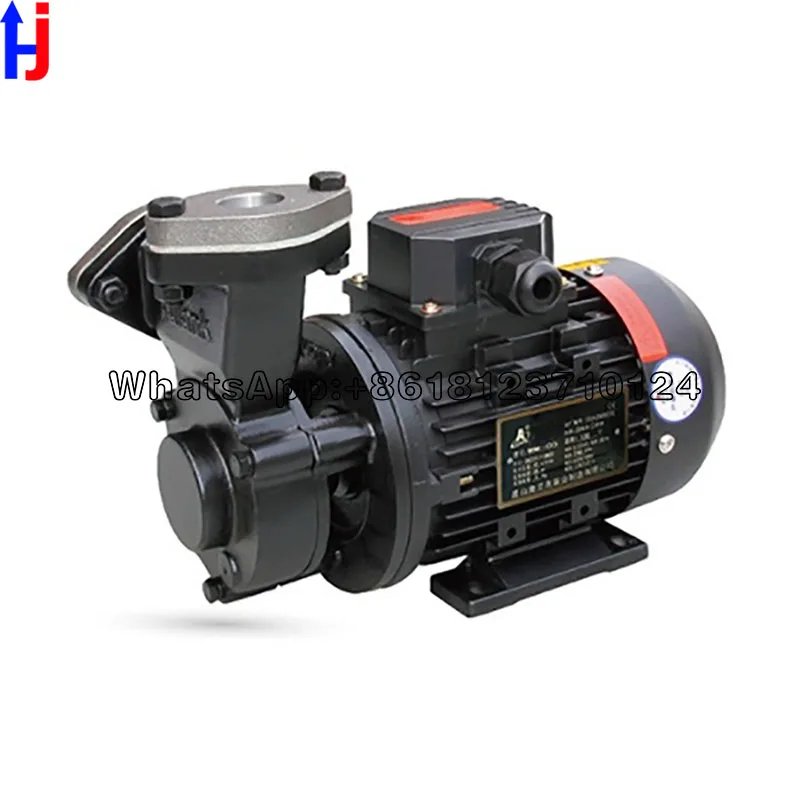 

WM10 Mold Temperature Machine Thermal Oil Pump Sea Water Pump Non-Leakage Cast Iron Pump High Temperature Resistance Sprayer