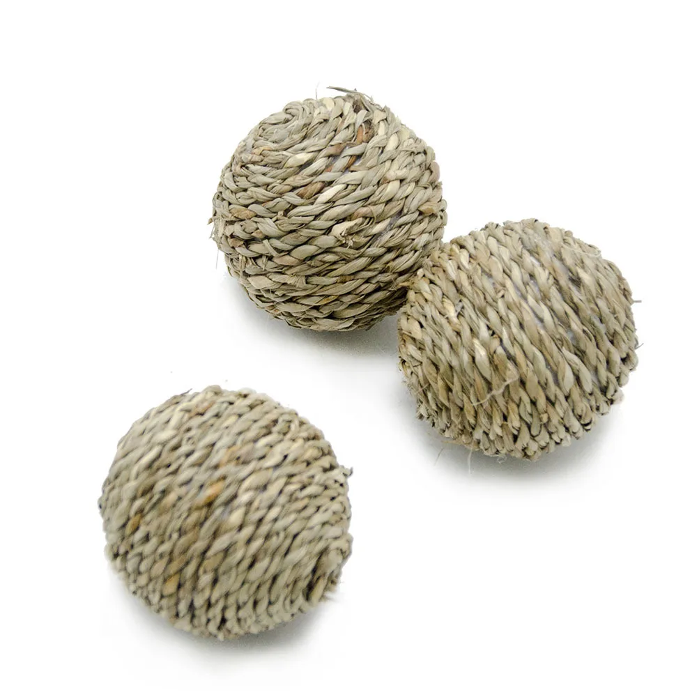 10194795523_1550852929