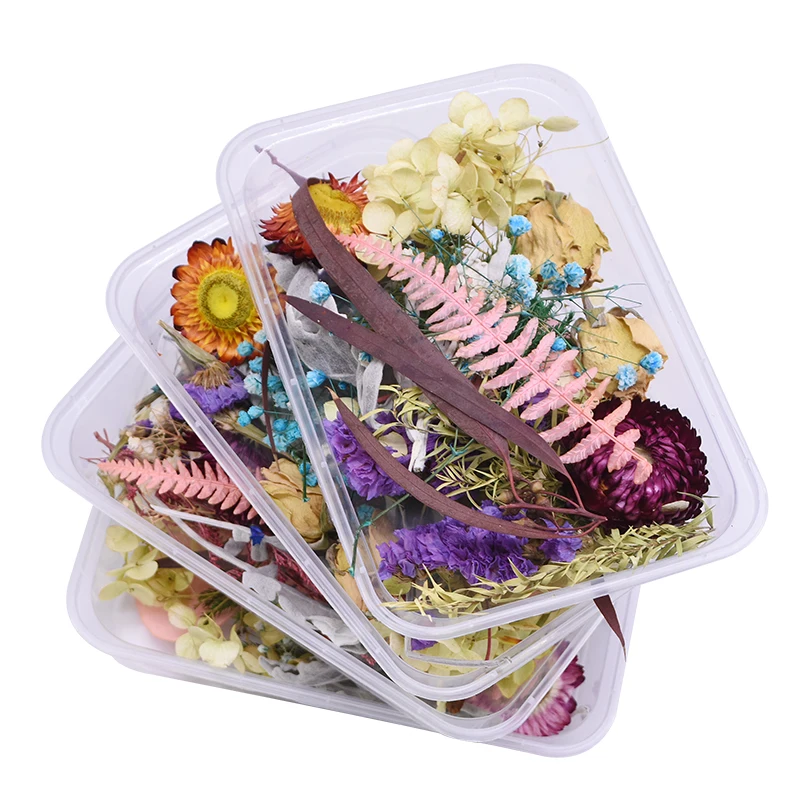 1 Box Mix Natural Dry Flower Plants For Aromatherapy Candle Epoxy Resin Pendant Necklace Jewelry DIY Handmade Crafts Accessories