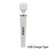 White USB Charge