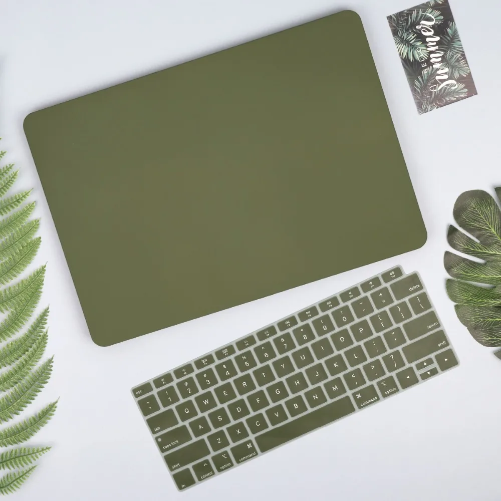 牛油果绿(1-美版英语)