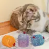 4/6/12pcs Cat Spring Toy Colorful Plastic Spring Training Toy Lovely Interesting Kitten Chasing Teasing Interactive Toys 2