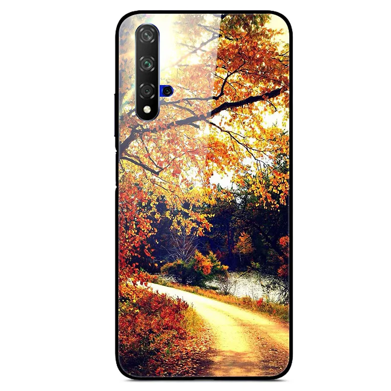 38 Чехол для huawei Nova 5 t, черный силиконовый бампер, жесткая задняя крышка для huawei Nova 5T Nova5t 5 t, чехол для телефона, закаленное стекло - Цвет: 38