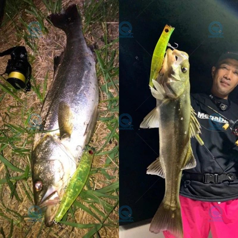 JAPAN Megabass KAGELOU 124F 22g 0.2m Top Water Floating Bait