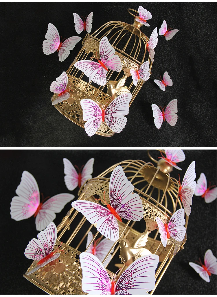 10524906485_1579242692