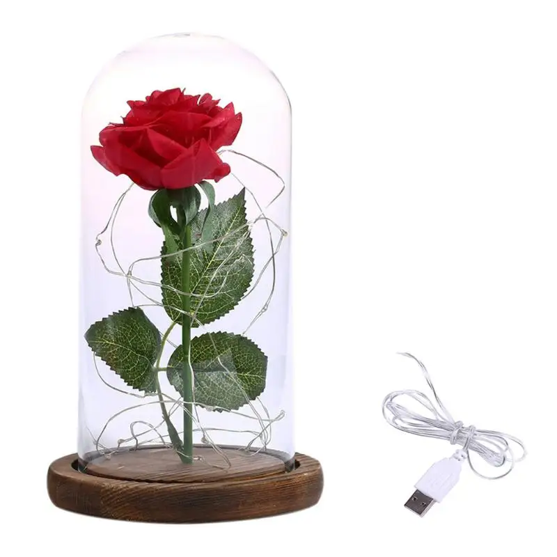 20LED светильник-гирлянда в виде розы, зарядка через usb, стеклянный купол, медный провод, сказочный светильник, ночник на День святого Валентина, декоративные украшения - Цвет: F