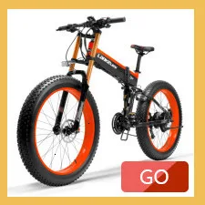 Perfect Electric Bike Bicycle 36V Two Wheel Electric Bicycle With Double Disc Brake System Foldable Electric Bicycle 250W For Adult 3