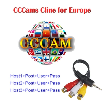 

Stable 1 Year Europe Cccam 3 Cline 3 lines Spain 1 Year cccam Cline HD AV Cable For Satellite TV Receiver DVB-S2 GTMEDIA V8 nova