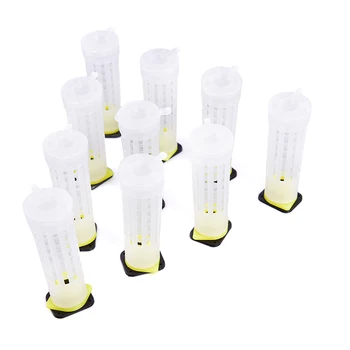 

50PCS Bee Queen Cages Plastic Protective Cover Cage Cell Box Cup Rearing New Bees King Tools Beekeeper Beekeeping Set Beekeeping