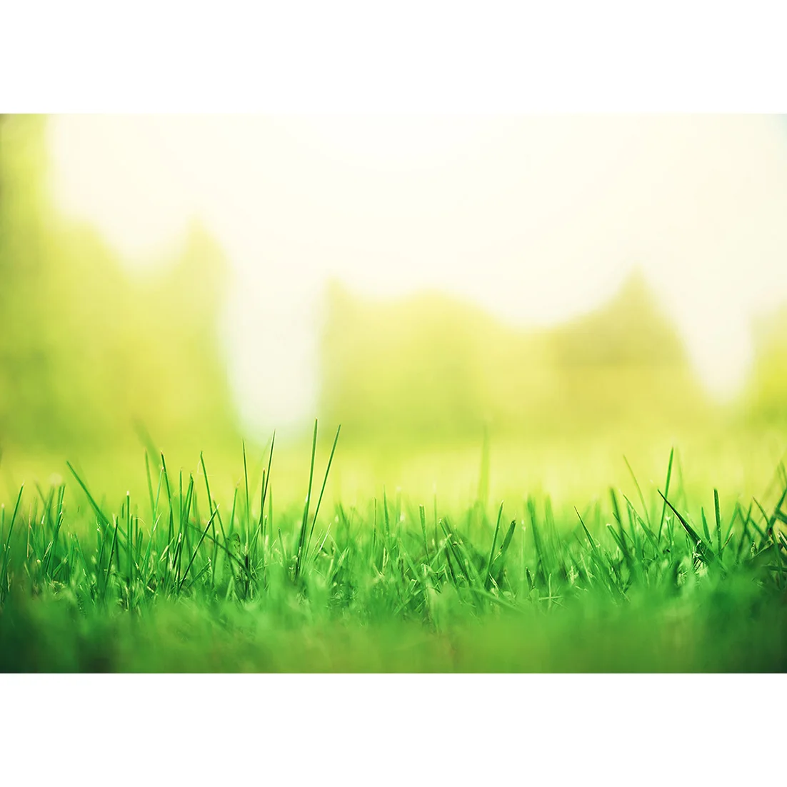  Ʃ ǰ  ܵ Ȱ Bokeh   ̺   ʻȭ   ,  