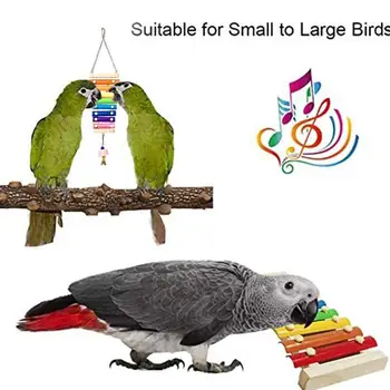 

Parrot Chew Toy Acrylic Metal String with Pacifier Bell Hanging On Bird Cage Courtyard Eaves Chewing Bite Bird Toy