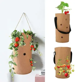 

Wall Hanging Planting Bags Home Hanging Garden Strawberry Planting Grow Bag for Flower Vegetable Fruit